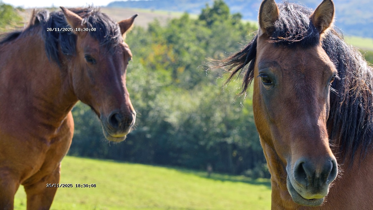 img_noticia_detaque_98